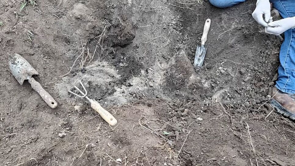 ENCUENTRAN COLECTIVOS DE BÚSQUEDA RESTOS ÓSEOS CALCINADOS EN JEREZ