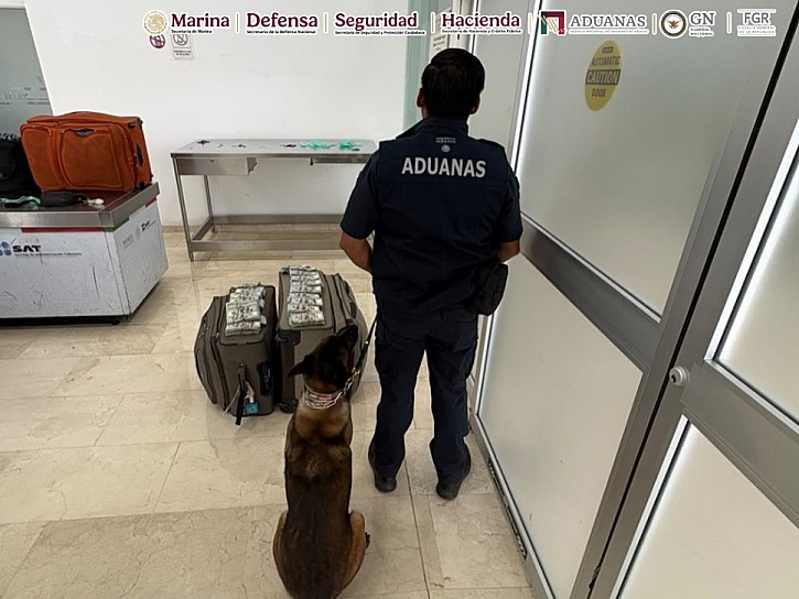 ASEGURAN MÁS DE 365 MIL DÓLARES SIN DECLARAR EN AEROPUERTO DE OAXACA