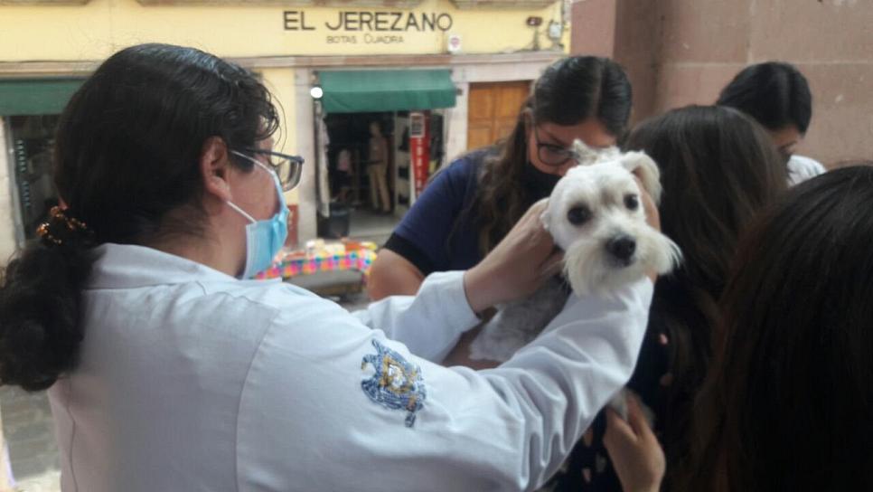 ARRANCA JORNADA DE VACUNACIÓN ANTIRRÁBICA 