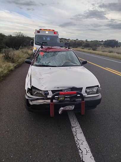 CHOCA TAXI CONTRA CABALLO EN CARRETERA FEDERAL DE SAIN ALTO