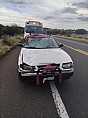 CHOCA TAXI CONTRA CABALLO EN CARRETERA FEDERAL DE SAIN ALTO