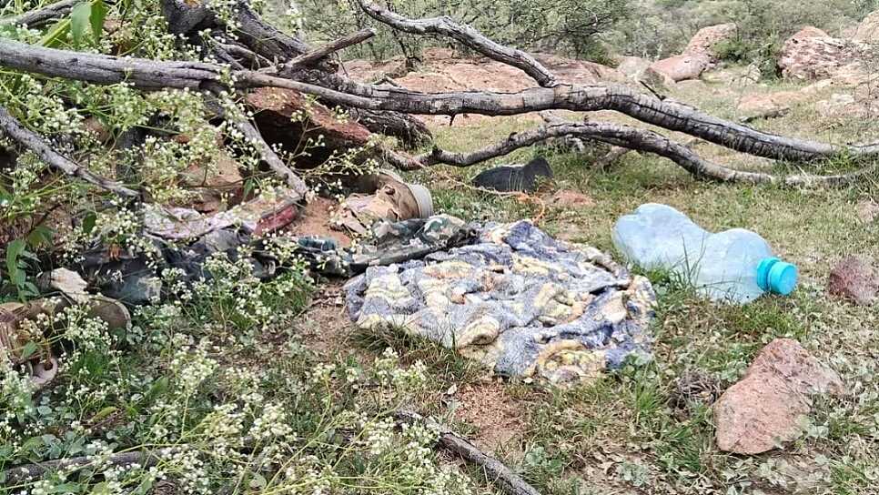 ENCUENTRA COLECTIVO ESCARABAJOS CAMPAMENTO CLANDESTINO EN VILLANUEVA