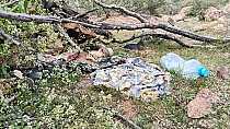 ENCUENTRA COLECTIVO ESCARABAJOS CAMPAMENTO CLANDESTINO EN VILLANUEVA
