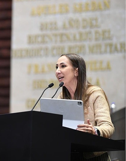 PIDE NOEMÍ LUNA INVESTIGAR PRESUNTAS IRREGULARIDADES EN EL INE
