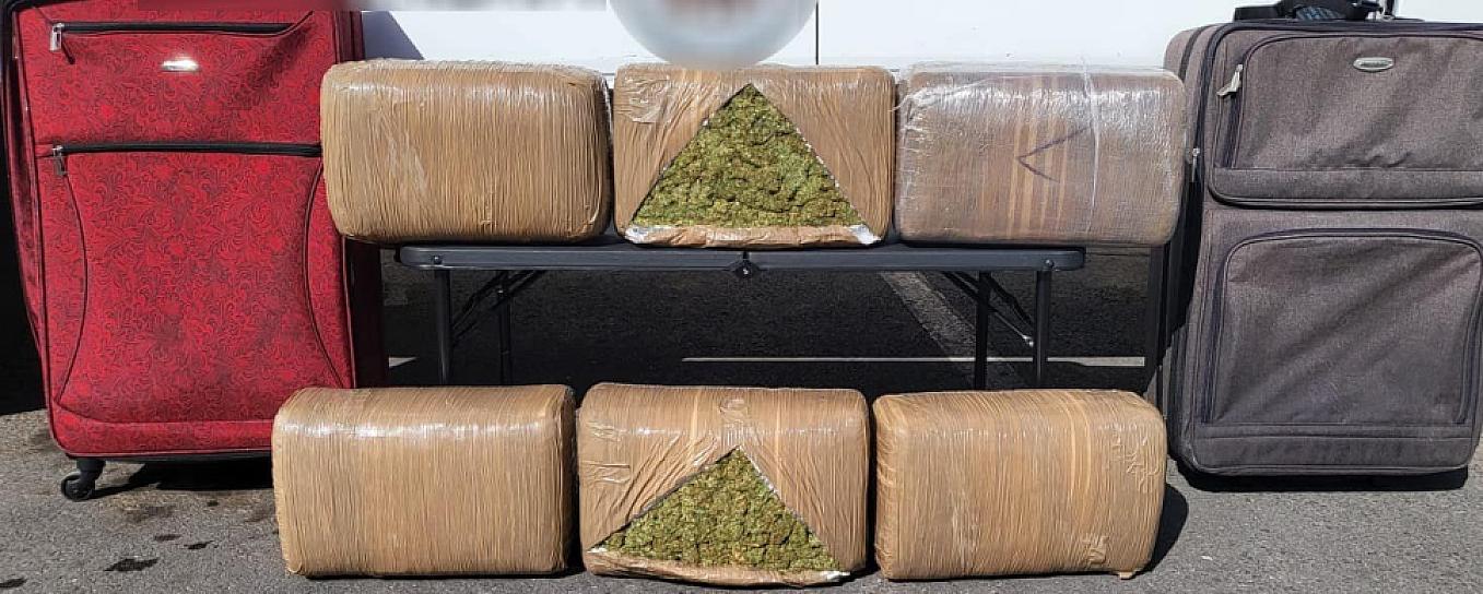 ASEGURA GN MARIHUANA EN LA CENTRAL DE AUTOBUSES DE LA CAPITAL 