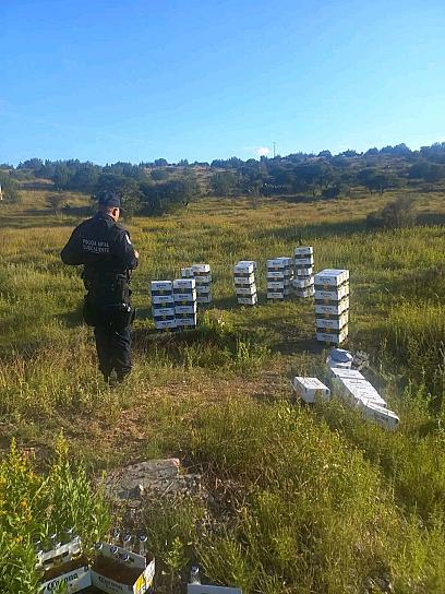 ASEGURAN CHELAS QUE HABÍAN SIDO SUSTRAIDAS DEL TREN 