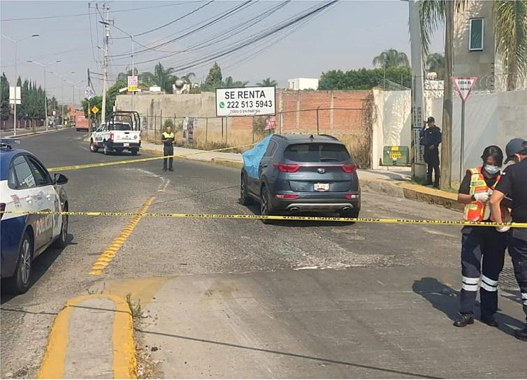  ASESINAN A LA ACTIVISTA CECILIA MONZÓN EN PUEBLA