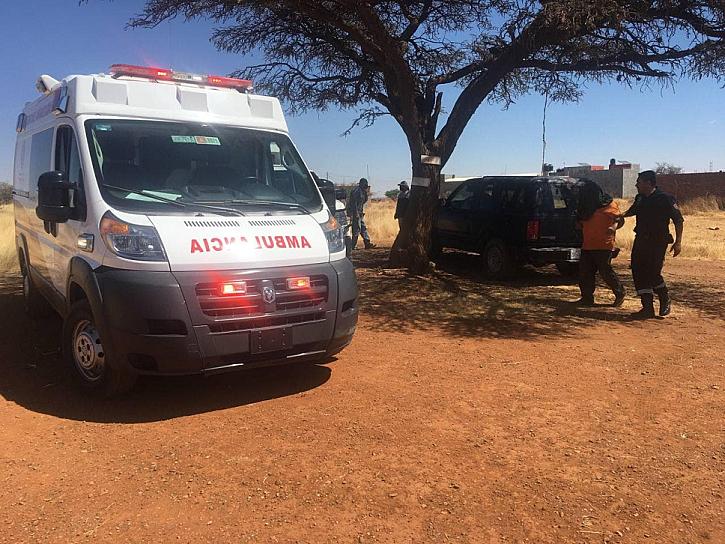 ATAQUES DE ABEJAS, CADA VEZ MÁS FRECUENTES