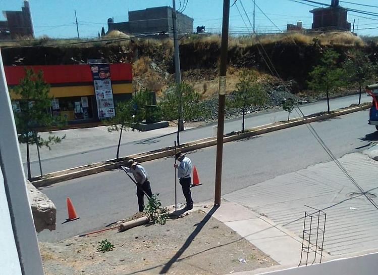 ATIENDEN RIESGO DE POSTE A PUNTO DE CAER