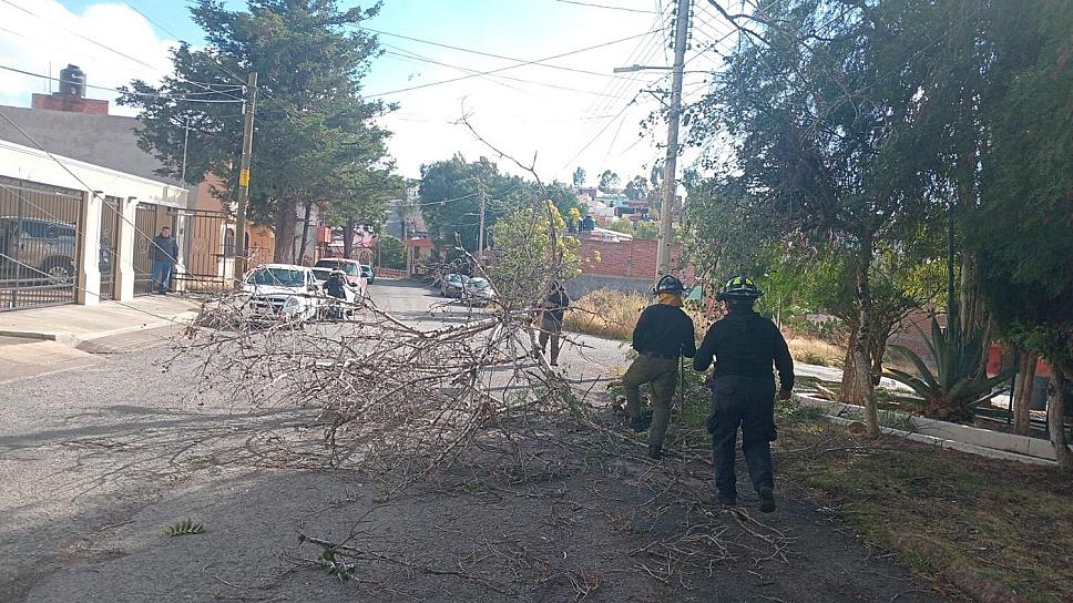 Atiende PC de la capital daños por fuertes vientos 