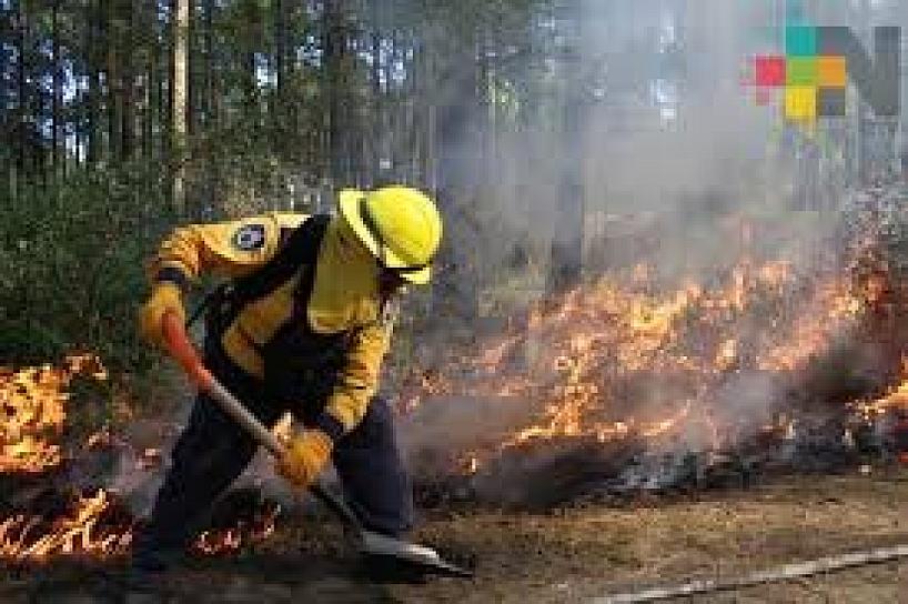 ATIENDE PC ESTATAL 115 INCENDIOS FORESTALES EN LO QUE VA DE 2024