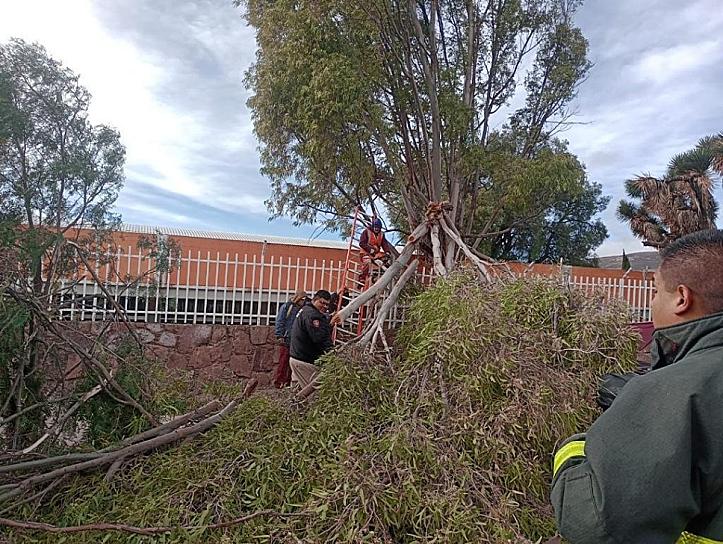 ATIENDE PC ESTATAL DIVERSOS REPORTES DE DAÑOS PROVOCADOS POR RACHAS DE VIENTO 
