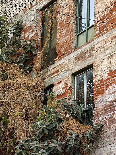 ATIENDE PC MUNICIPAL REPORTE DE FINCA  EN RIESGO POR HUMEDAD EN EL CENTRO HISTÓRICO