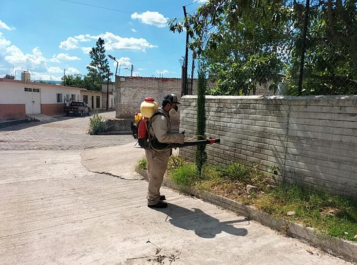 ATIENDE Y PREVIENE SSZ CASOS DE PICADURA DE ALACRÁN 