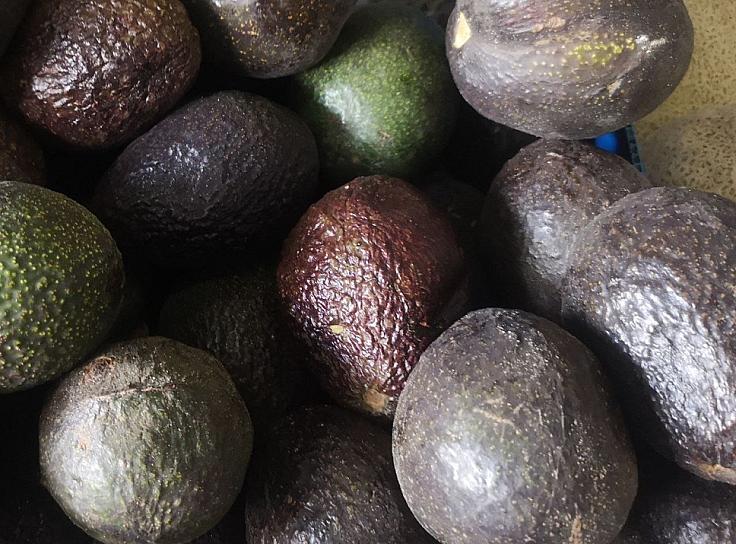 AUMENTAN PRECIOS&nbsp;DEL AGUACATE Y PAPA