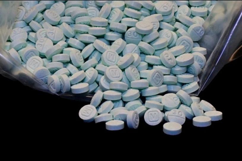 AVALAN DIPUTADOS LEY CONTRA PRECURSORES QUÍMICOS DEL FENTANILO