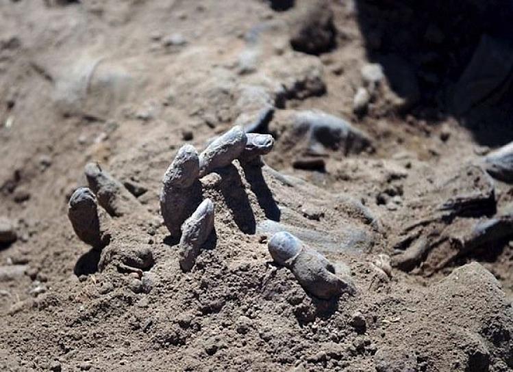 AVANZA IDENTIFICACIÓN DE CUERPOS ENCONTRADOS EN FOSA CLANDESTINA 