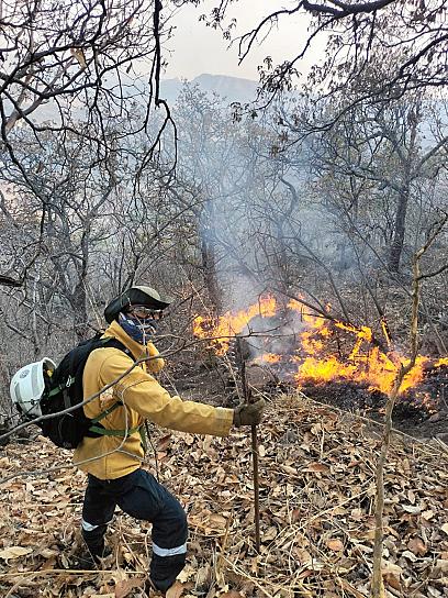 AVANZAN LABORES PARA SOFOCAR INCENDIOS FORESTALES EN TEÚL, MONTE ESCOBEDO Y VALPARAÍSO 
