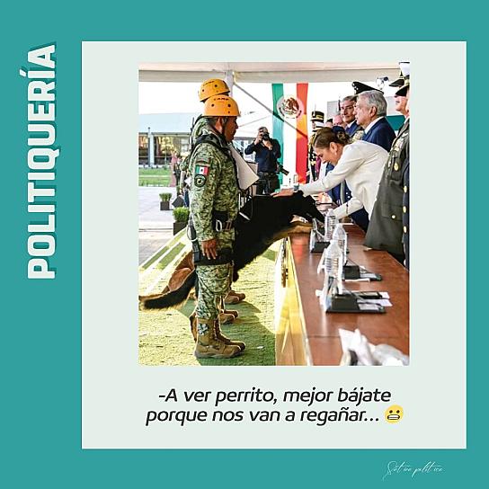 -Ay perrito, bájate porque nos van a regañar... 😬